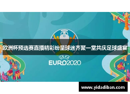 欧洲杯预选赛直播精彩纷呈球迷齐聚一堂共庆足球盛宴