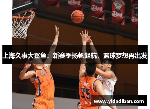 上海久事大鲨鱼：新赛季扬帆起航，篮球梦想再出发